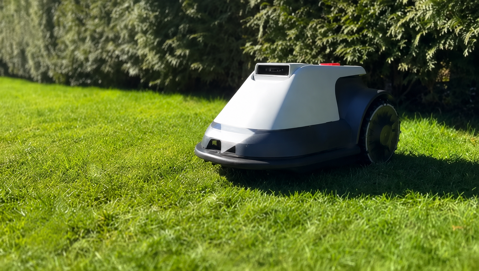 Moderner Mähroboter auf gepflegtem Rasen im sonnigen Garten