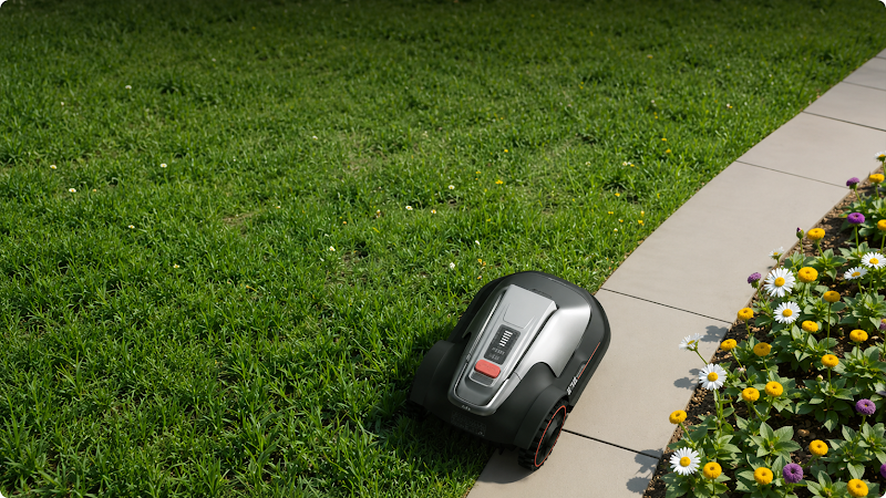 Eufy Mähroboter mäht Rasenkante neben Blumenbeet