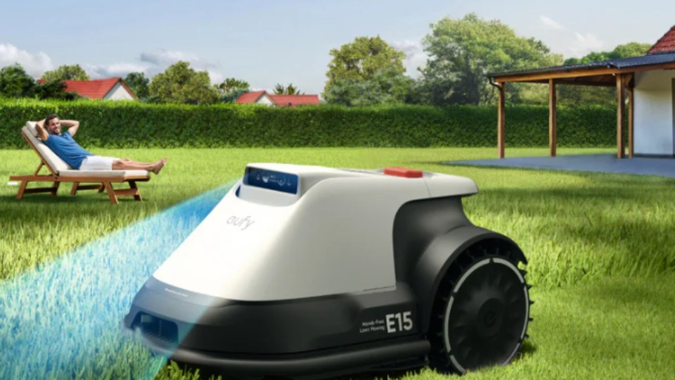 Wann darf ich meinen Rasen mähen? Ruhezeiten und Regeln