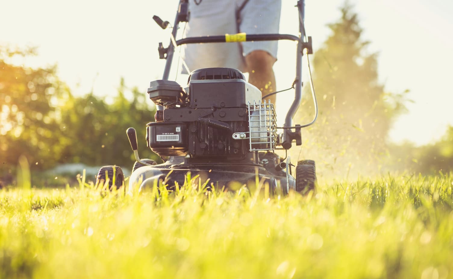 how-to-start-a-lawn-mowing-business